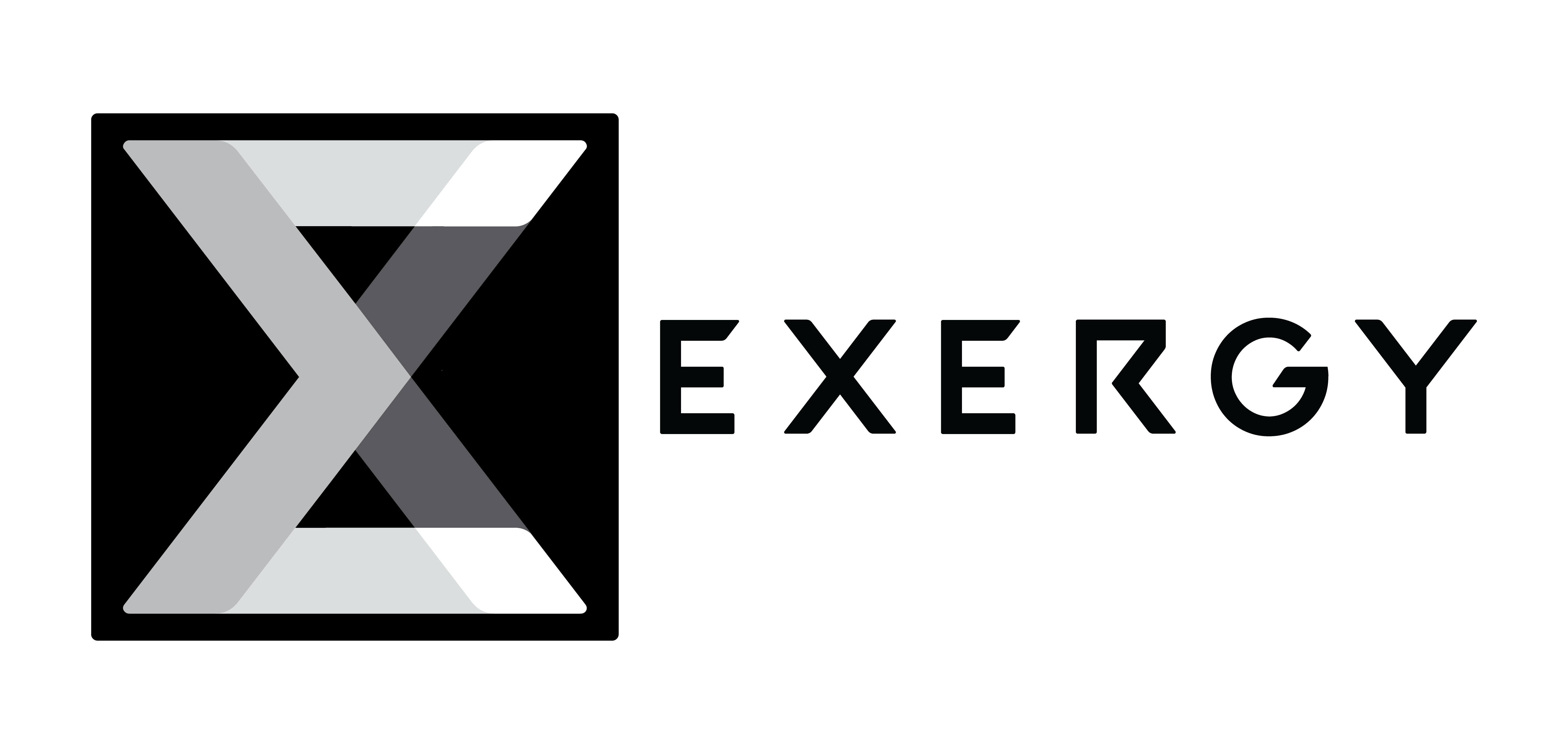 Co-Founder & CEO, Exergy